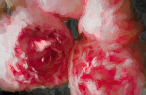 Pink Peonies